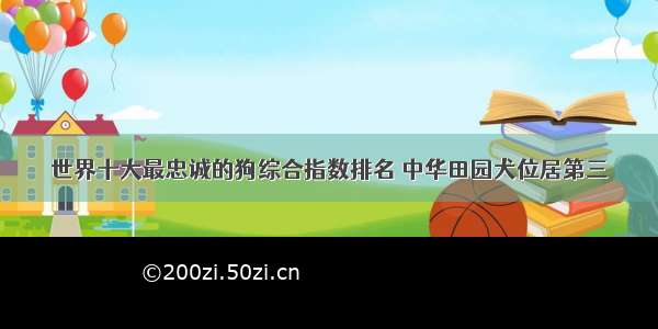 世界十大最忠诚的狗综合指数排名 中华田园犬位居第三