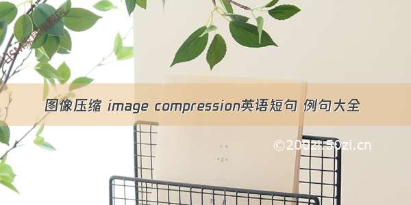 图像压缩 image compression英语短句 例句大全