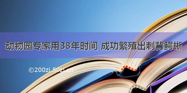 动物园专家用38年时间 成功繁殖出刺背鳄蜥