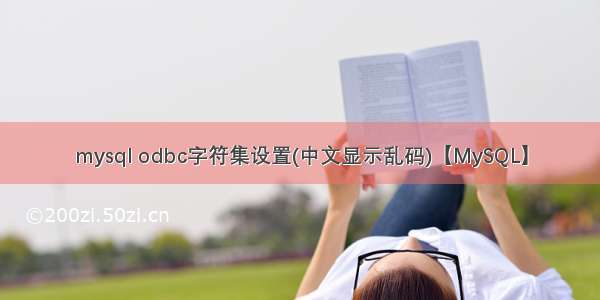 mysql odbc字符集设置(中文显示乱码)【MySQL】