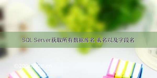 SQL Server获取所有数据库名 表名以及字段名