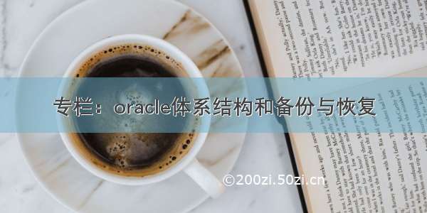 专栏：oracle体系结构和备份与恢复