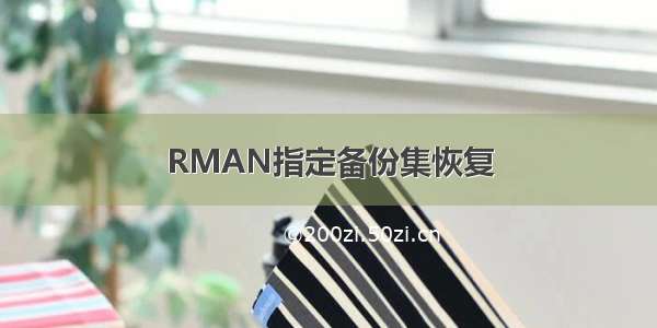 RMAN指定备份集恢复