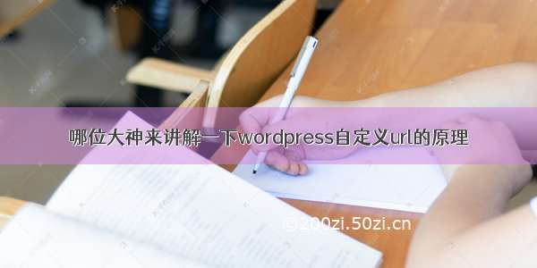 哪位大神来讲解一下wordpress自定义url的原理