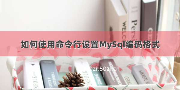 如何使用命令行设置MySql编码格式