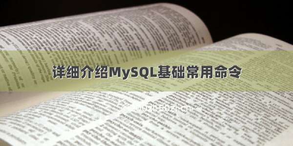 详细介绍MySQL基础常用命令