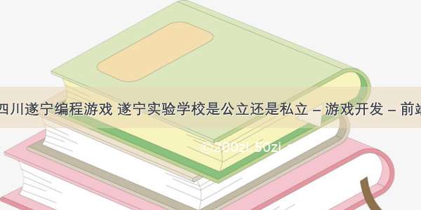 四川遂宁编程游戏 遂宁实验学校是公立还是私立 – 游戏开发 – 前端
