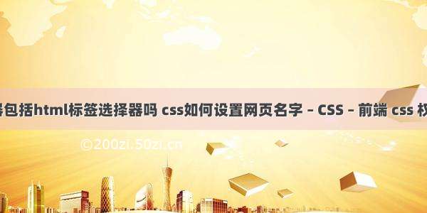 css选择器包括html标签选择器吗 css如何设置网页名字 – CSS – 前端 css 权重优先级