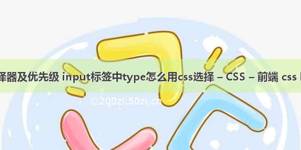 css常用选择器及优先级 input标签中type怎么用css选择 – CSS – 前端 css layout布局