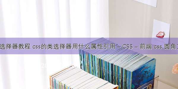 css11选择器教程 css的类选择器用什么属性引用 – CSS – 前端 css 圆角文本框