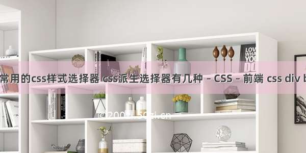 简述常用的css样式选择器 css派生选择器有几种 – CSS – 前端 css div body