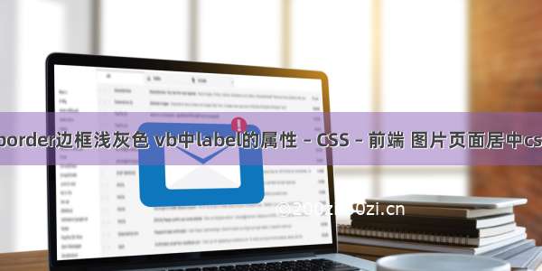 border边框浅灰色 vb中label的属性 – CSS – 前端 图片页面居中css