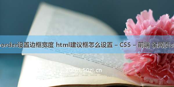 border设置边框宽度 html建议框怎么设置 – CSS – 前端 全网页css