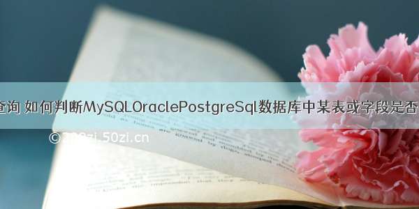 mysql内置查询 如何判断MySQLOraclePostgreSql数据库中某表或字段是否存在 – 数据