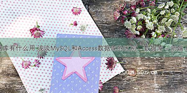 mysql数据库有什么用 浅谈MySQL和Access数据库的区别 – 数据库 – 前端 mysql游标