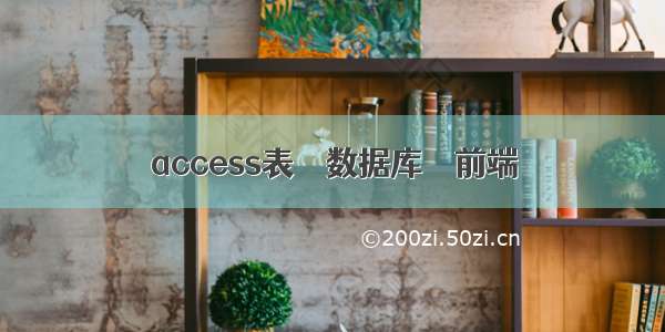 access表 – 数据库 – 前端