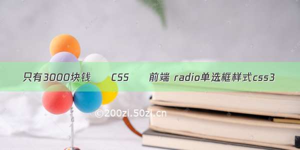 只有3000块钱 – CSS – 前端 radio单选框样式css3