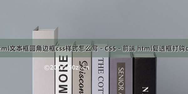 html文本框圆角边框css样式怎么写 – CSS – 前端 html复选框打钩css