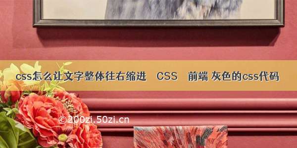 css怎么让文字整体往右缩进 – CSS – 前端 灰色的css代码