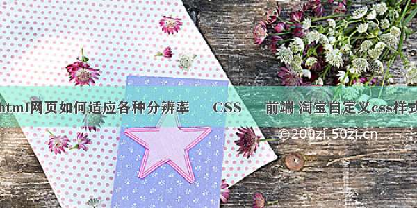 html网页如何适应各种分辨率 – CSS – 前端 淘宝自定义css样式