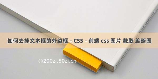 如何去掉文本框的外边框 – CSS – 前端 css 图片 截取 缩略图