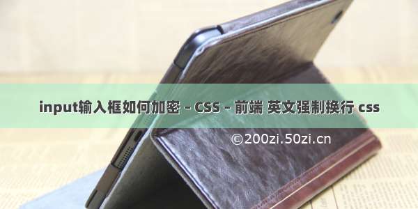 input输入框如何加密 – CSS – 前端 英文强制换行 css