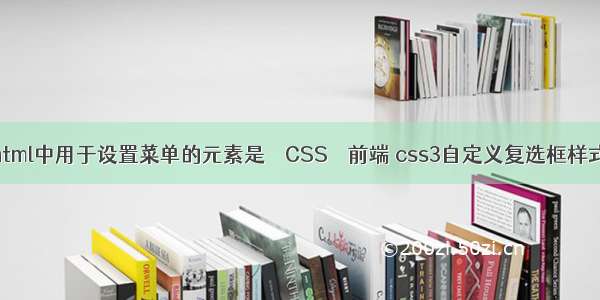 html中用于设置菜单的元素是 – CSS – 前端 css3自定义复选框样式