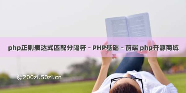 php正则表达式匹配分隔符 – PHP基础 – 前端 php开源商城