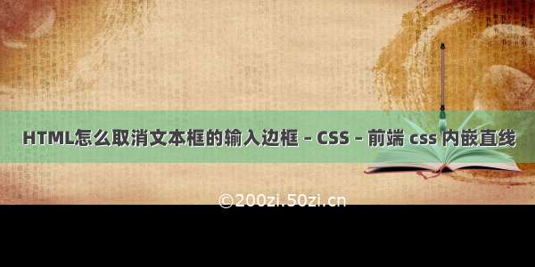 HTML怎么取消文本框的输入边框 – CSS – 前端 css 内嵌直线