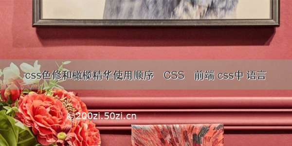 css色修和橄榄精华使用顺序 – CSS – 前端 css中 语言