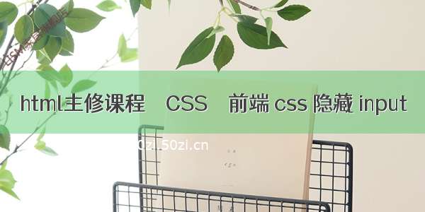 html主修课程 – CSS – 前端 css 隐藏 input