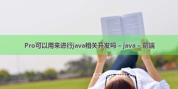 Pro可以用来进行java相关开发吗 – java – 前端