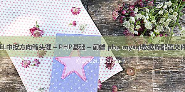 EXCEL中按方向箭头键 – PHP基础 – 前端 php mysql数据库配置文件在哪