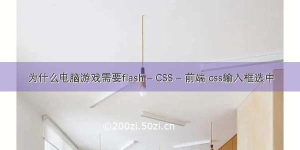 为什么电脑游戏需要flash – CSS – 前端 css输入框选中