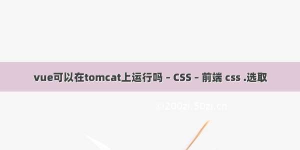 vue可以在tomcat上运行吗 – CSS – 前端 css .选取