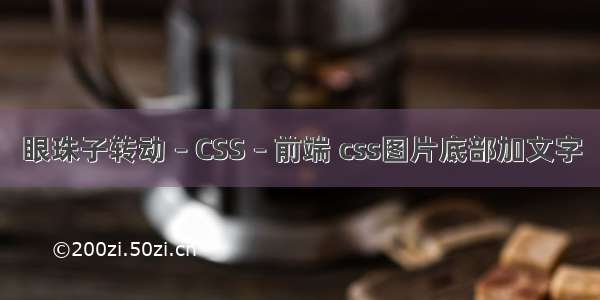 眼珠子转动 – CSS – 前端 css图片底部加文字