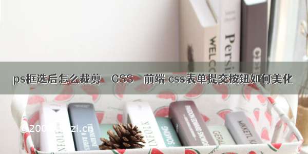 ps框选后怎么裁剪 – CSS – 前端 css表单提交按钮如何美化