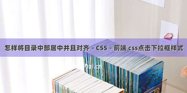 怎样将目录中部居中并且对齐 – CSS – 前端 css点击下拉框样式