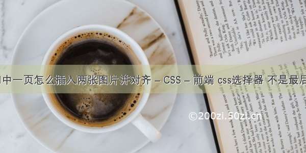 word中一页怎么插入两张图片并对齐 – CSS – 前端 css选择器 不是最后一个