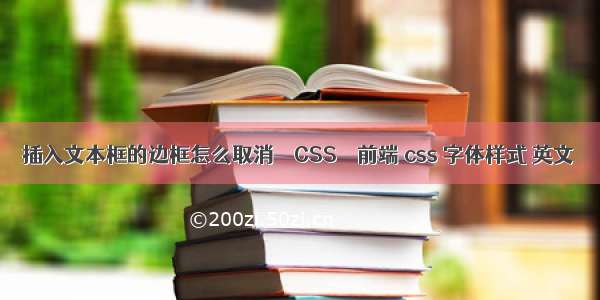 插入文本框的边框怎么取消 – CSS – 前端 css 字体样式 英文