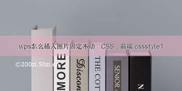 wps怎么插入图片固定不动 – CSS – 前端 cssstyle1