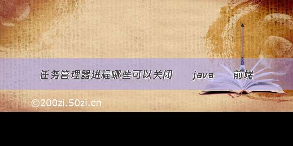 任务管理器进程哪些可以关闭 – java – 前端