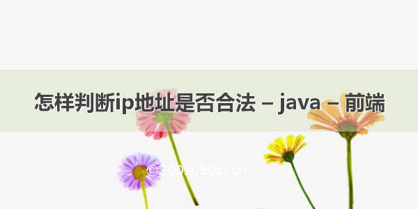 怎样判断ip地址是否合法 – java – 前端