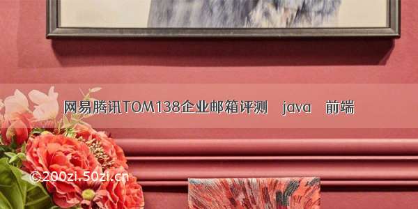 网易腾讯TOM138企业邮箱评测 – java – 前端