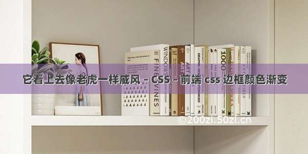 它看上去像老虎一样威风 – CSS – 前端 css 边框颜色渐变