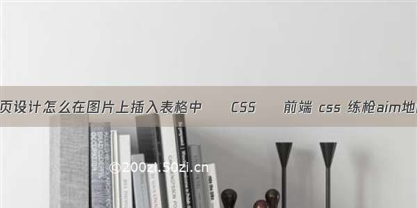 网页设计怎么在图片上插入表格中 – CSS – 前端 css 练枪aim地图