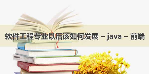 软件工程专业以后该如何发展 – java – 前端