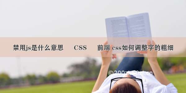 禁用js是什么意思 – CSS – 前端 css如何调整字的粗细