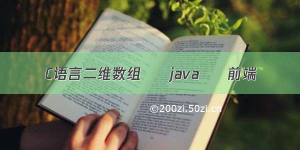 C语言二维数组 – java – 前端