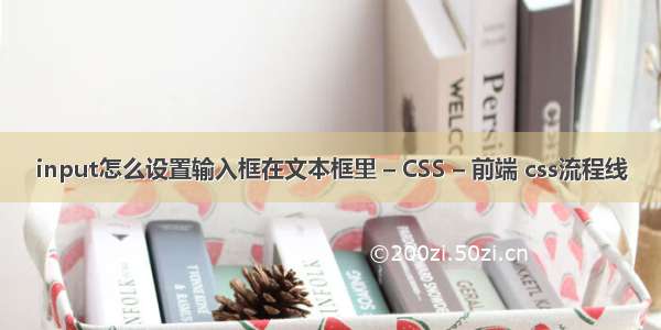 input怎么设置输入框在文本框里 – CSS – 前端 css流程线